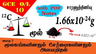 அணுத்திணிவலகு  Quantification of elements  Grade 10 Science  GCE OL Tamil medium [upl. by Lerak]