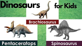 Dinosaurs Names for Kids  24 Dinosaur Names  Types Of Dinosaurs [upl. by Kahle351]