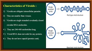 Viroids [upl. by Cowan]