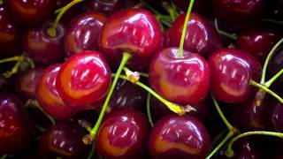 Perfect Cherries From Tree to Table [upl. by May]