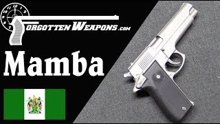 The Rhodesia Mamba Big Hype and a Big Flop [upl. by Demeyer258]