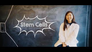 What Are Stem Cells [upl. by Karr333]