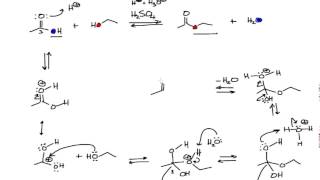 Mechanism of the Fischer Esterification in Organic Chemistry [upl. by Ahseile]