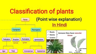 Classification of plants in Hindi  Cryptogam and Phanerogam plantclassification [upl. by Heng]