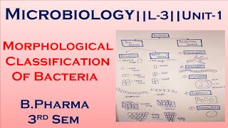 Morphological Classification Of Bacteria  Microbiology L3Unit1 Bpharma 3rd sem  in Hindi [upl. by Muldon150]