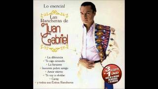 Fue Un Placer Conocerte  Juan Gabriel [upl. by Dnarb763]