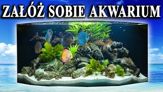 Początkujący 🐠 Propozycje RYB do Pierwszego AKWARIUM [upl. by Wood]