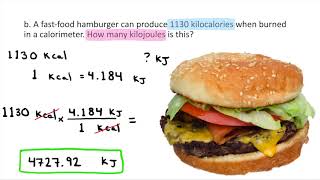 Converting between Kilocalories and Kilojoules [upl. by Leunamme609]