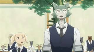 Beastars English Dub  All Clips [upl. by Milson987]