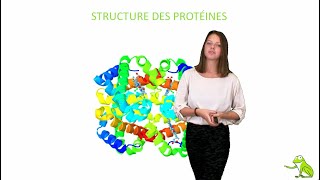 Structure des protéines [upl. by Curran]