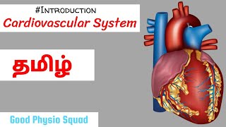 Physiology  Introduction to the Cardiovascular System in Tamil Lecture [upl. by Ibok]