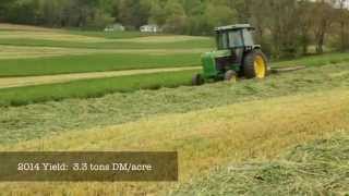 Triticale Cover Crops for Feed and Soil Health [upl. by Trawets]