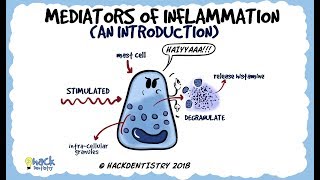 Mediators of Inflammation An Introduction [upl. by Anoyi]