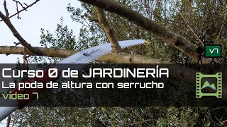 Cómo podar árboles altos con serrucho  Capítulo 7  Curso básico de Jardinería 2020  LdN [upl. by Nahtahoj111]