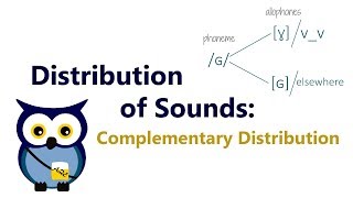 Distribution of Sounds Complementary Distribution [upl. by Yendys657]