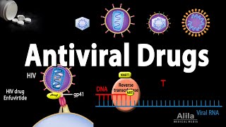 Antiviral Drugs Mechanisms of Action Animation [upl. by Kimble]