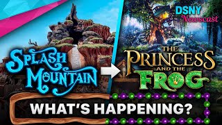 1 Year Later  SPLASH MOUNTAIN Changing to Princess and the Frog  Disney News  June 25 2021 [upl. by Folger80]