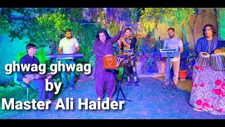 BanaameHaider  Muhammad Samie  Ali Ali Bus Ali Ali  Official Video HD [upl. by Vincenty]