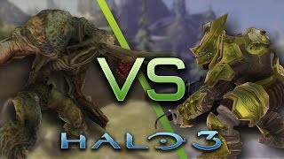 Halo 3 AI Battle  Flood Tanks vs Brutes [upl. by Rodmann]