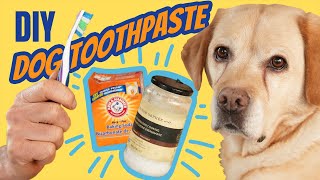 Toothpaste for Dogs DIY and Natural [upl. by Shotton918]