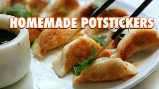 Potstickers Made From Scratch Pan Fried Dumplings [upl. by Yarw]