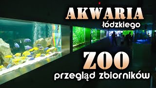 AKWARIA łódzkiego ZOO  przegląd zbiorników [upl. by Ezmeralda]