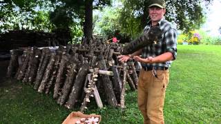 Agroforestry Cultivation of Shiitake Mushrooms [upl. by Lundgren]