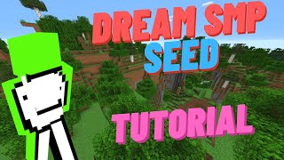 How To Play On Dream SMP Seed Tutorial [upl. by Miza]