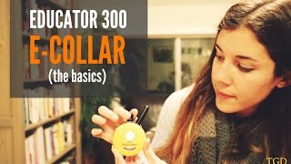 ECollar Technologies Educator Mini 300 Set Up [upl. by Ayenat781]