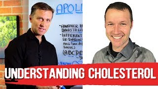 Cholesterol Basics 101 by Dave Feldman amp Dr Berg [upl. by Waldo]