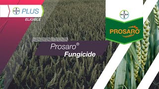 Prosaro® Fungicide [upl. by Noirred]