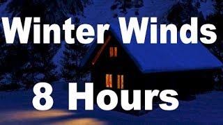 Winter Wind  Relaxing Nature Sounds for Sleep  8 Hours Long [upl. by Tevis]