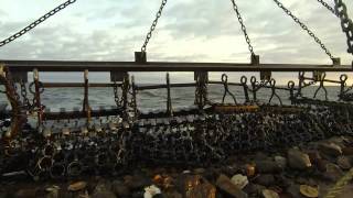 Scallop Fishing Woodlslands PEI [upl. by Rianna518]