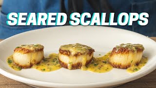 SEARED SCALLOPS WITH SCAMPI RECIPE Best Way to Cook Scallops [upl. by Dempstor]