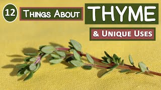 12 Things About Thyme and Its Unique Uses [upl. by Sirdna]