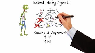 Pharmacology  ADRENERGIC RECEPTORS amp AGONISTS MADE EASY [upl. by Odnalo599]