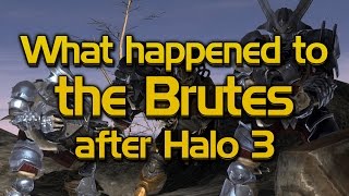 What happened to the Brutes after Halo 3 [upl. by Gayelord604]