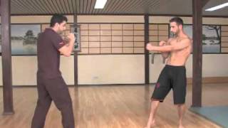 Wing Tsun KO Fighter Sihing Tanyel MWTA [upl. by Myrlene]