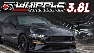 38L WHIPPLE SUPERCHARGED Mustang Puts Down 1300hp  PLUS Whipple 2020 GT500 News [upl. by Anertak]