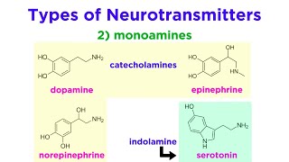 Neurotransmitters Type Structure and Function [upl. by Lleryd]