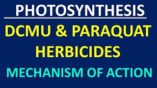 DCMU amp Paraquat Herbicides [upl. by Saunders]