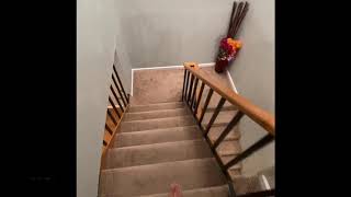 Metal Stair Case Railing Painting [upl. by Woody]