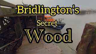 Bridlington [upl. by Hosbein]