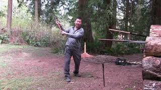 Short Assegai Lesson 1 [upl. by Danaher]