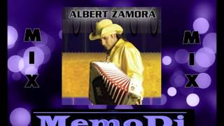 Albert Zamora Tejano mix [upl. by Kadner68]