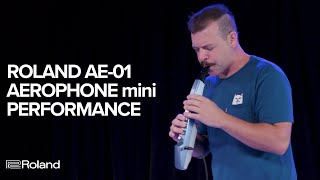 Roland AE01 Aerophone mini Performance and Sounds [upl. by Sculley]