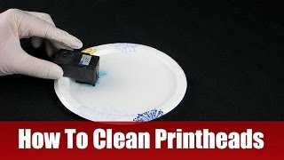 How To Clean Printheads [upl. by Learsi951]