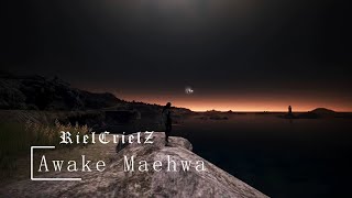 Bdo Awakening Maehwa Pvp Montage [upl. by Willett991]