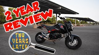 Honda Grom  EVERYTHING You Need to Know [upl. by Forsyth392]