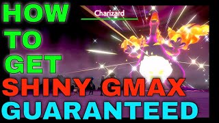 How to Find a GUARANTEED SHINY GMAX Charizard in Pokemon Sword and Shield [upl. by Wilkison279]